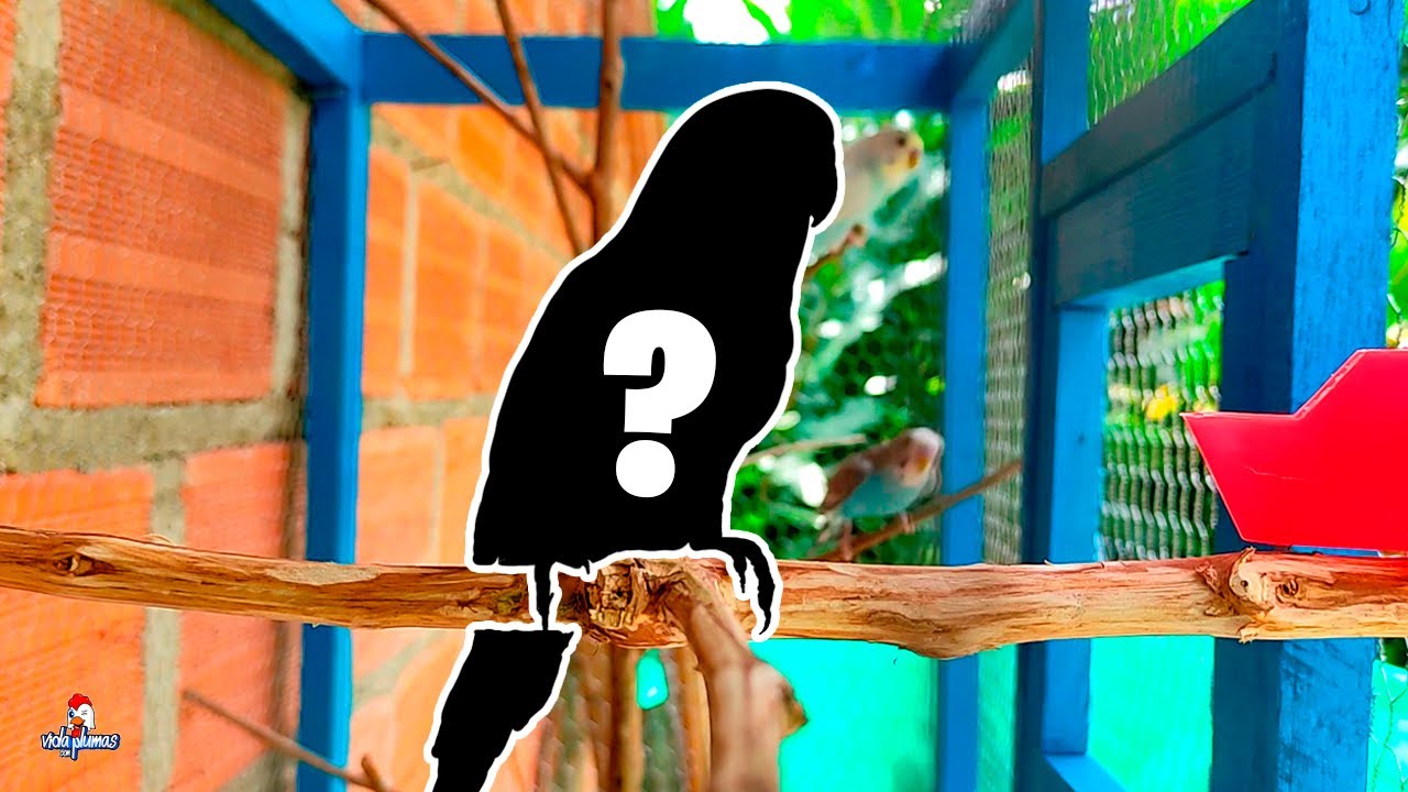 Nuevos Animalitos😍