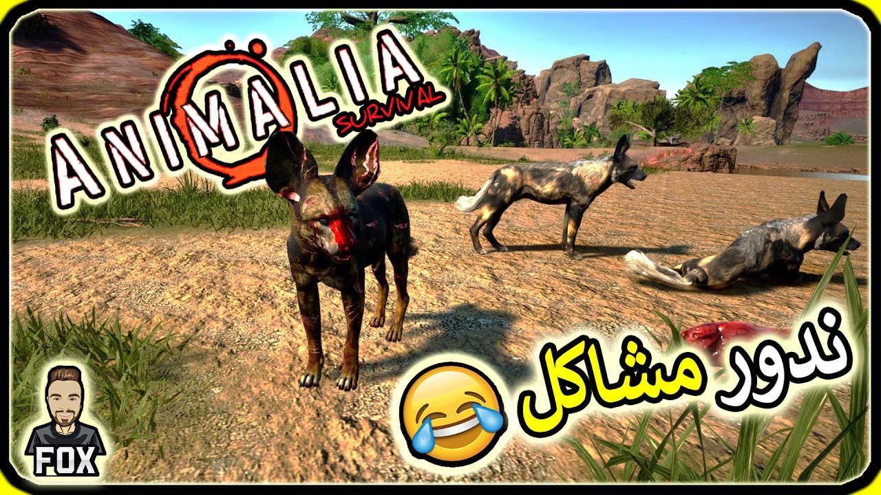 انيمليا سرفايفل | الكلاب البرية..ندور مشاكل 😂 Animalia survival (31#)