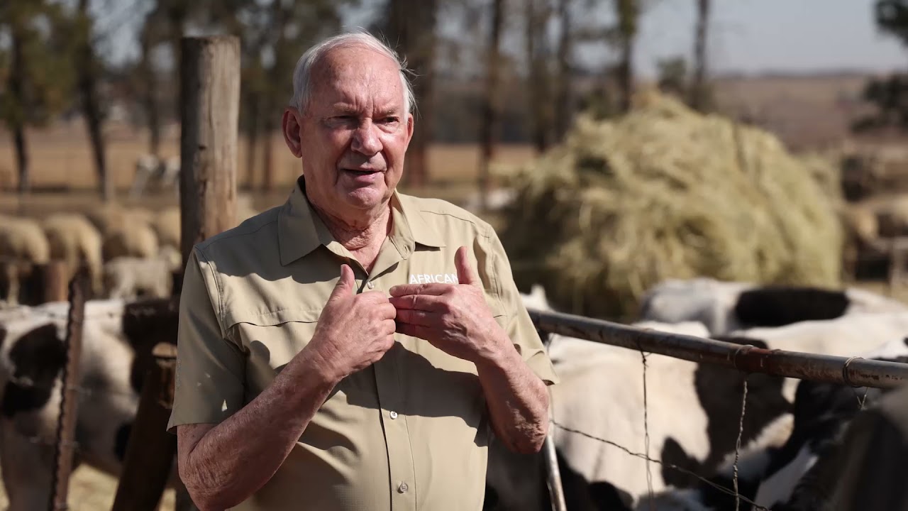 Here's everything you need to know about roundworms