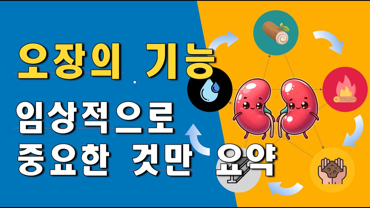 오장의 기능: 임상적으로  중요한 것만 요약