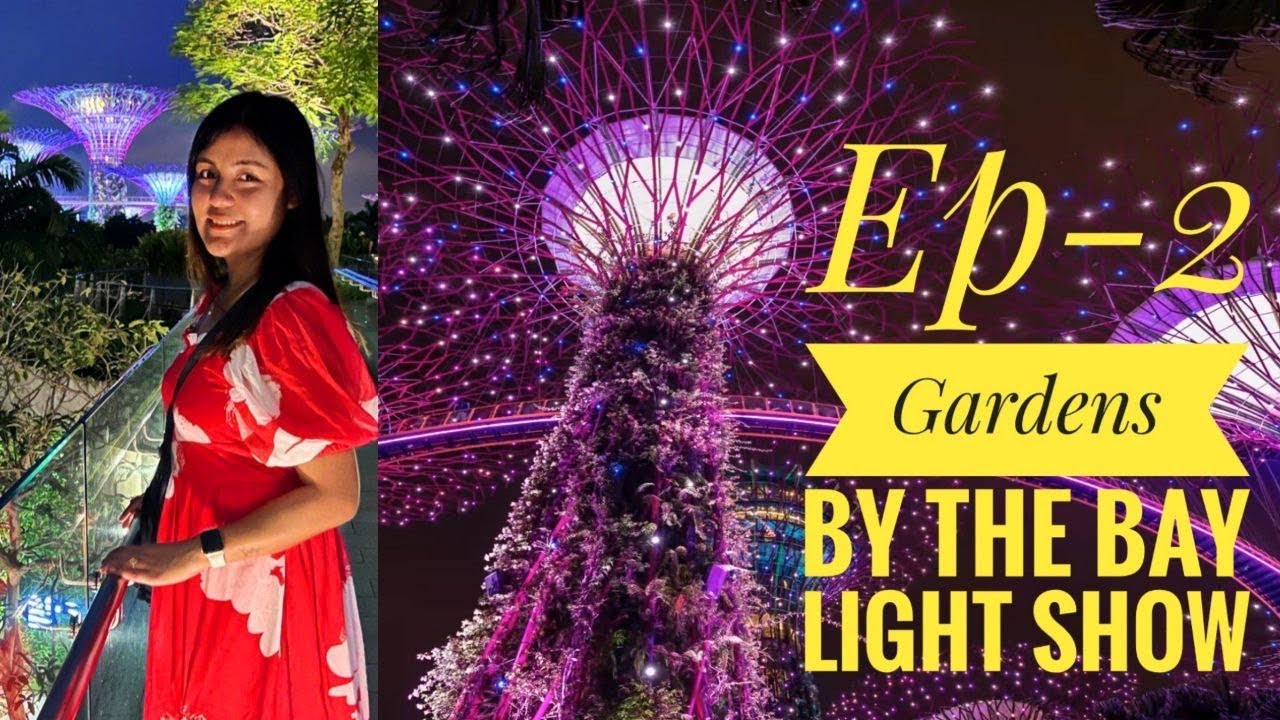 Episode 2- Singapore Gardens by the bay Light show | Christmas light show | Indian couple|Hindi Vlog