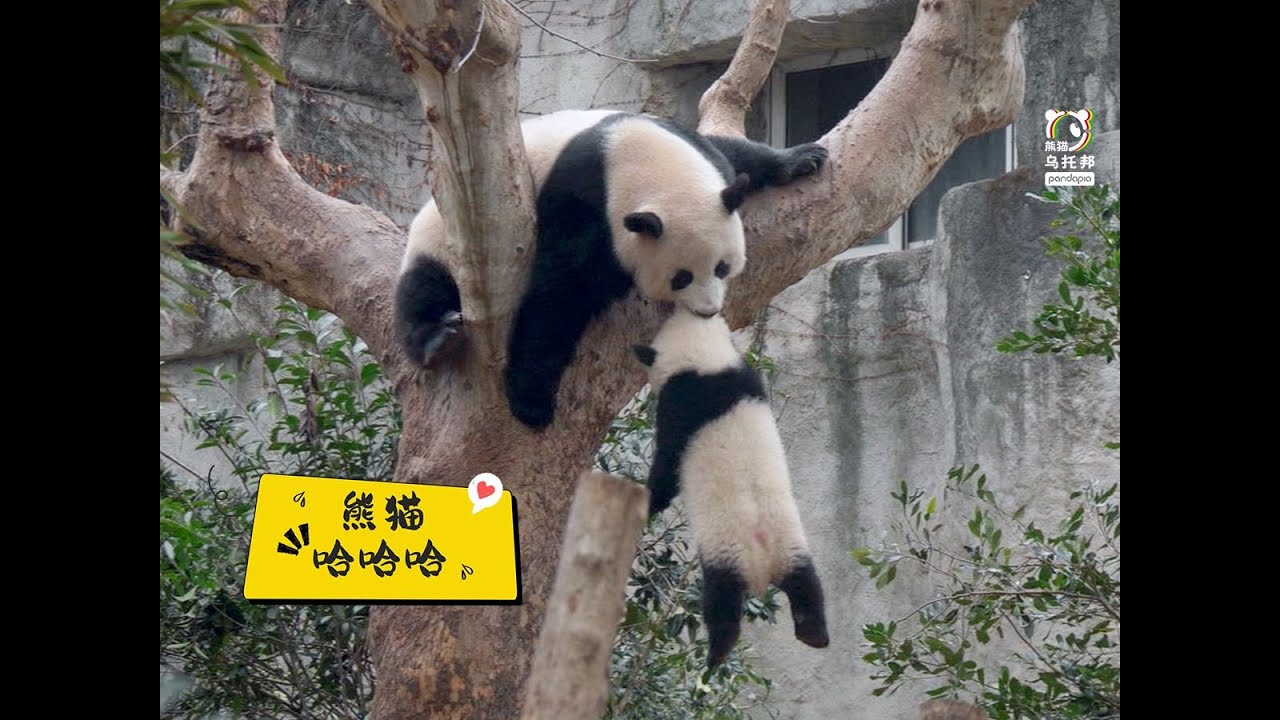 当妈的“操心劳碌命”