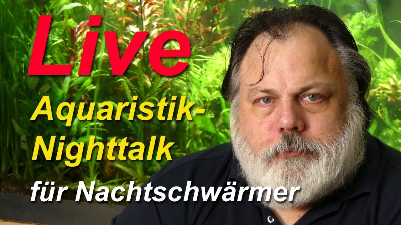 LIVE - AQUARIUM NIGHTTALK. Aquaristik für Nachtschwärmer. Q&A