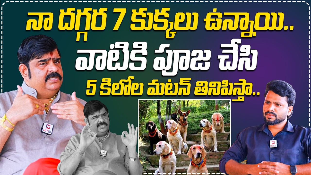 నా దగ్గర 7 కుక్కలు ఉన్నాయి.. | Astrologer Venu Swamy About His Pet Dogs Pooja @HITTVOFFICIAL
