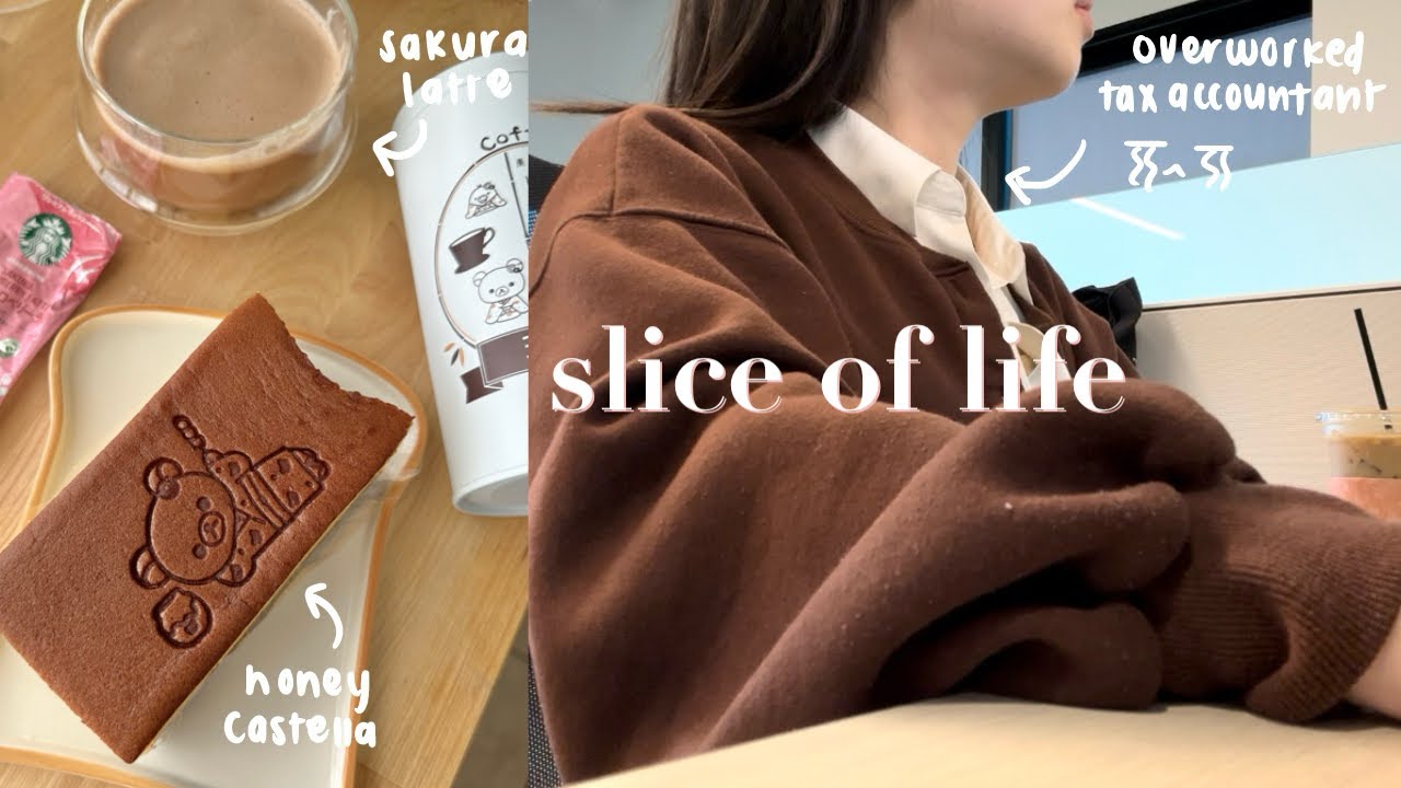Slice of Life | Japan haul, life of tax accountant, burnout, managing stress