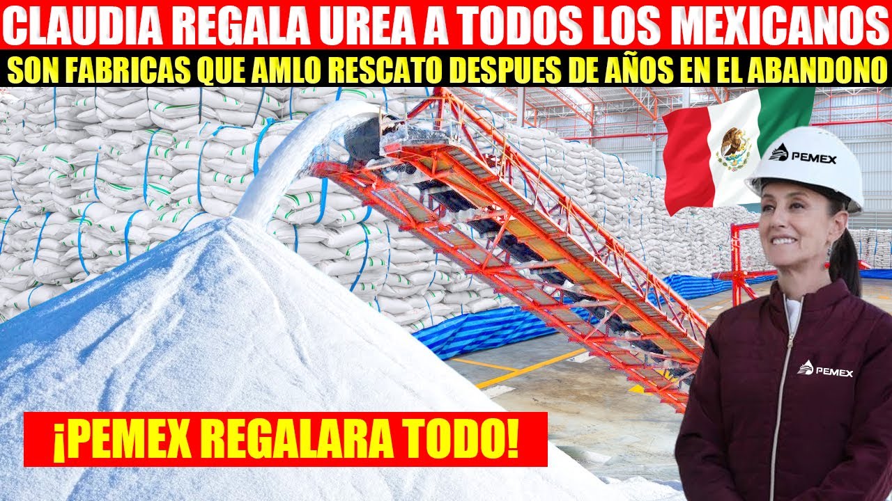MIRA:CLAUDIA CUMPLE PROMESAS DE AMLO CON EL PUEBLO, ELLOS NUNCA ESPERARON ESTO, LLORAN DE FELICIDAD