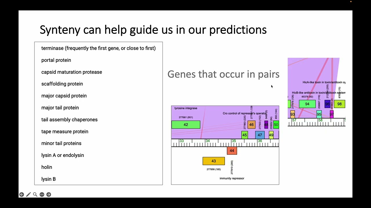 How to call a Function Part 1