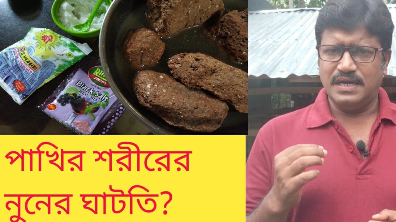পাখির নুনের চাহিদা কি ভাবে পূরন করবেন || How to make salty stone For birds ||