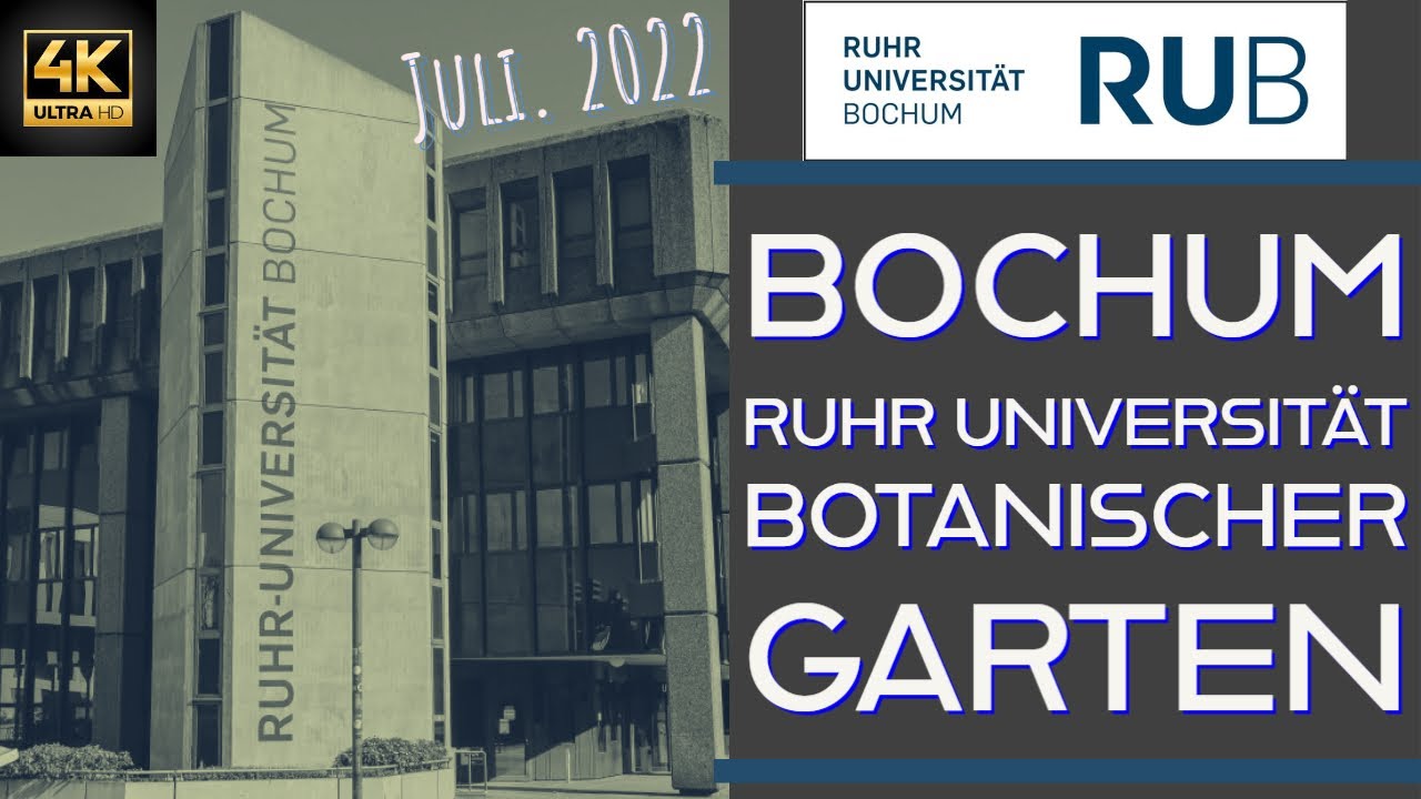 Ruhr Universität Bochum, Botanischer Garten, Juli.2022, 4K, Purple Rainbow