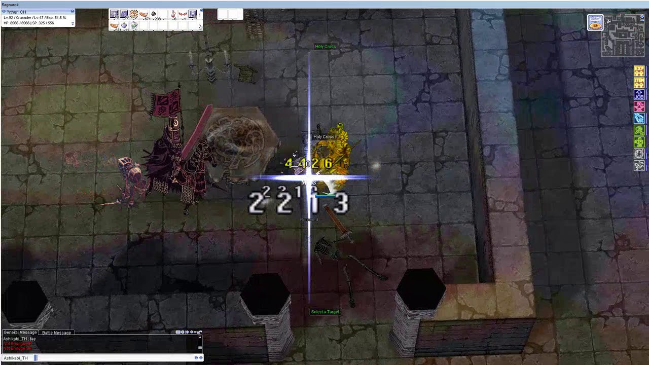 ROPH - (HC/Agi) Crusader vs Raydrics test