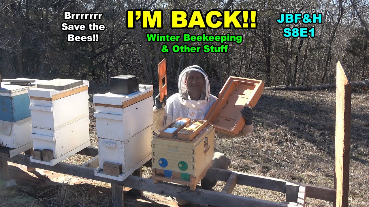 Winter Bee Chores S8E1