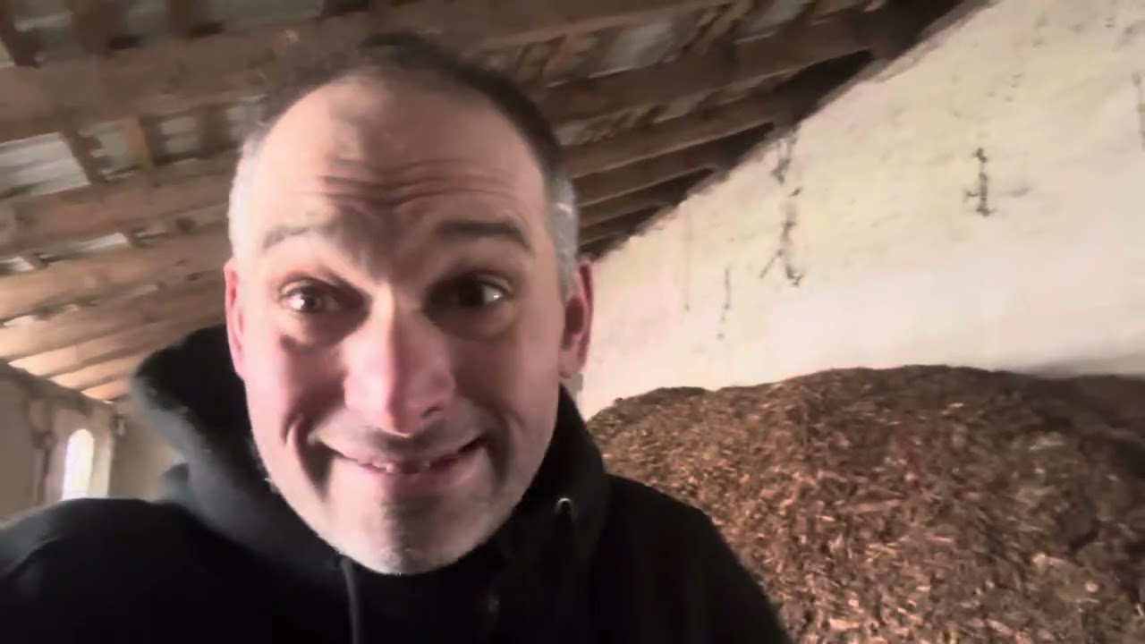 Die  Sicherung der Gasversorgung ist also nicht der Job des Staates! Top für eine Industrienation! 