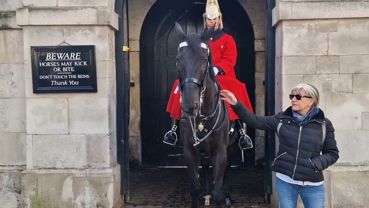 she keeps touching #royalhorseguard