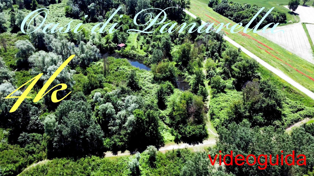 Italy 4k - il delta del PO - Oasi di Panarella - videoguida