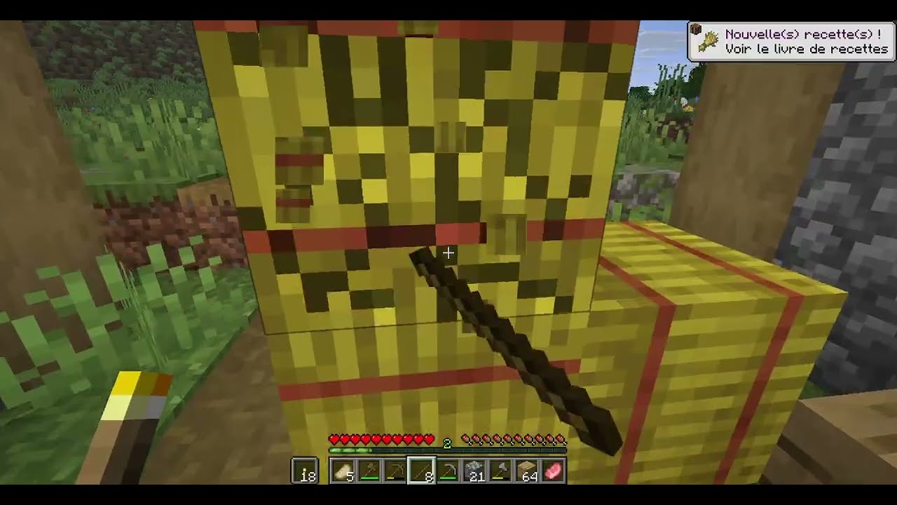 JE SURVIE 1000 JOUR SUR minecraft