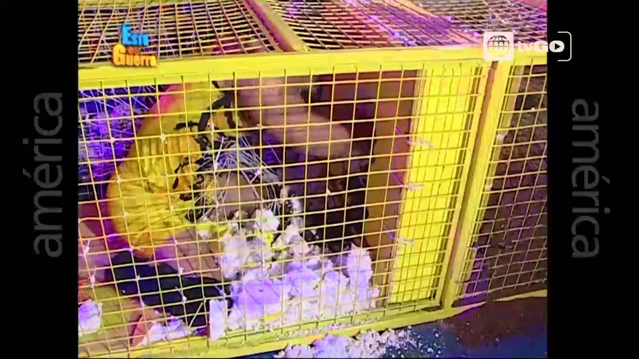 esto es guerra Viernes 18-09-2015 parte 1/6 - Décima Temporada