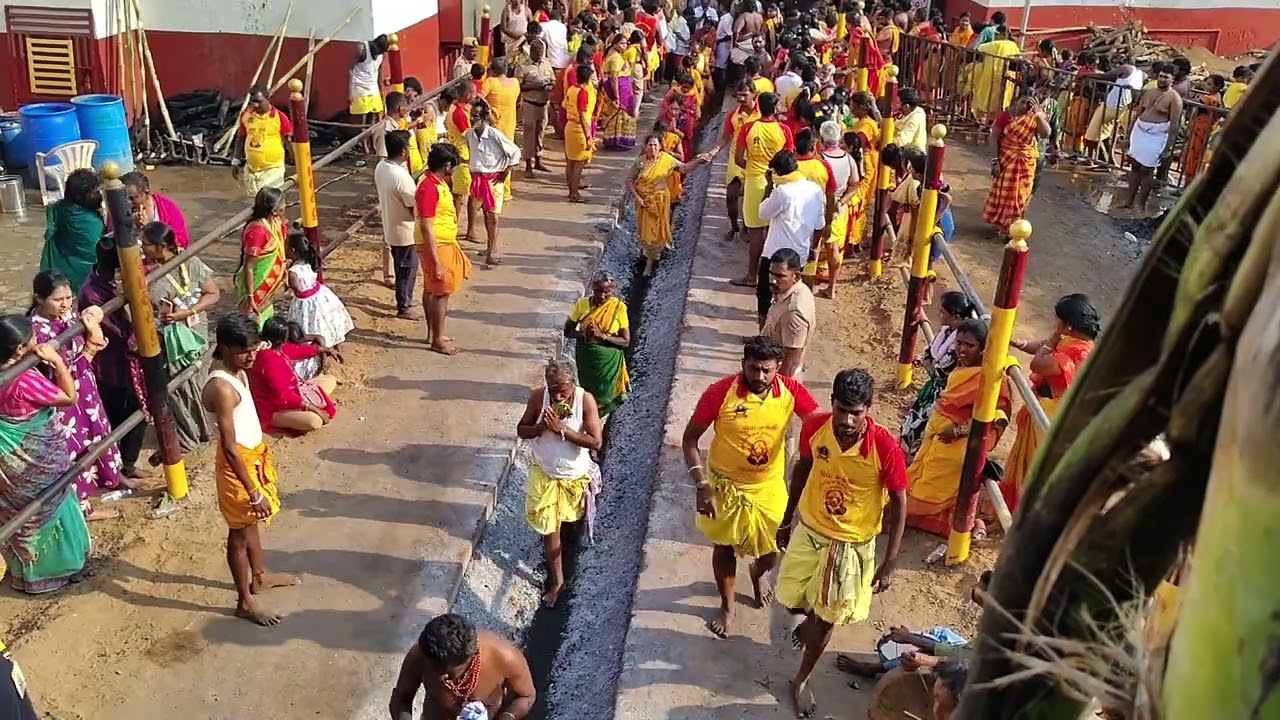 60 அடி மகா குண்டம் பெருவிழா திருச்செங்கோடு அருள்மிகு சின்ன ஓங்காளியம்மன் மாசி குண்டம் திருவிழா 