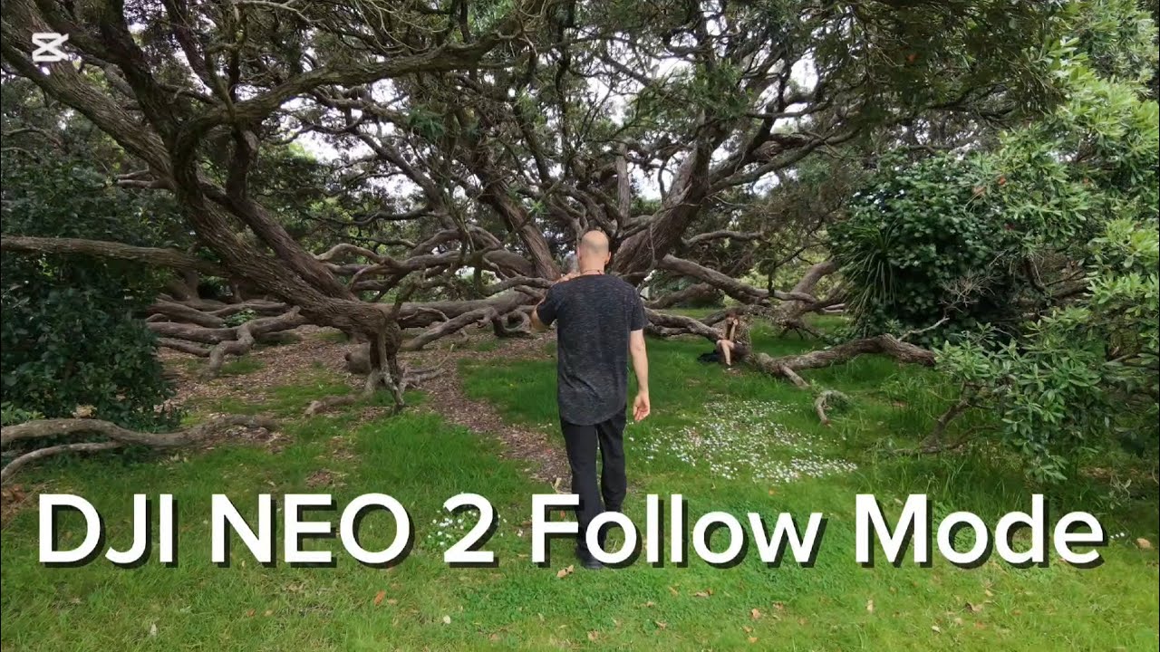 Fail or Pass How did the Neo 2 perform ??? 