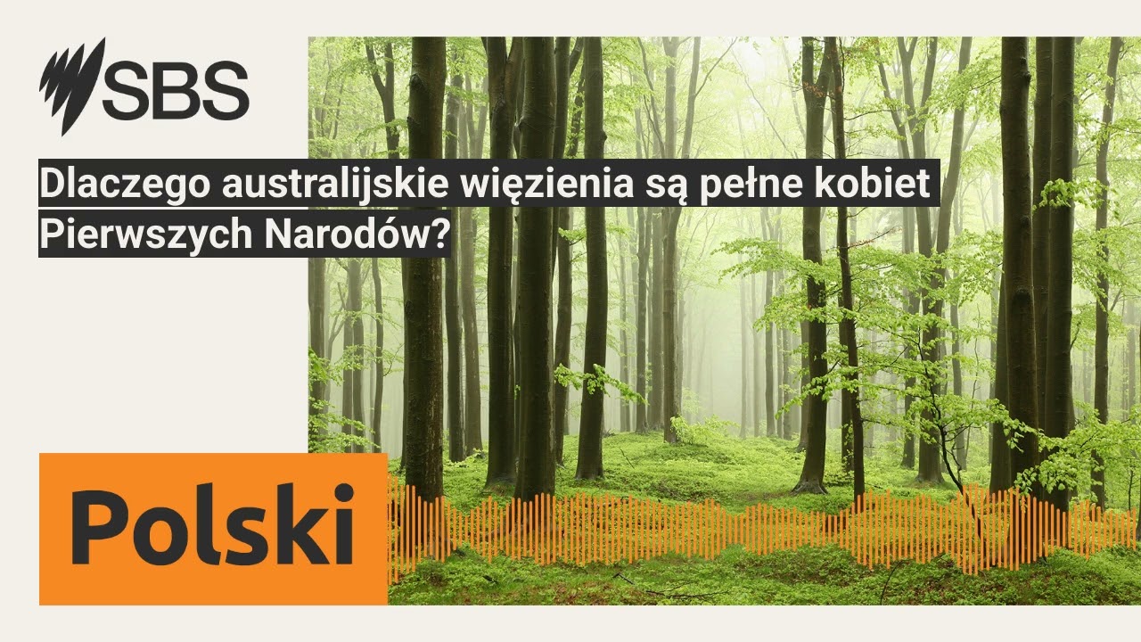 Dlaczego australijskie więzienia są pełne kobiet Pierwszych Narodów? | SBS Polish - SBS po polsku