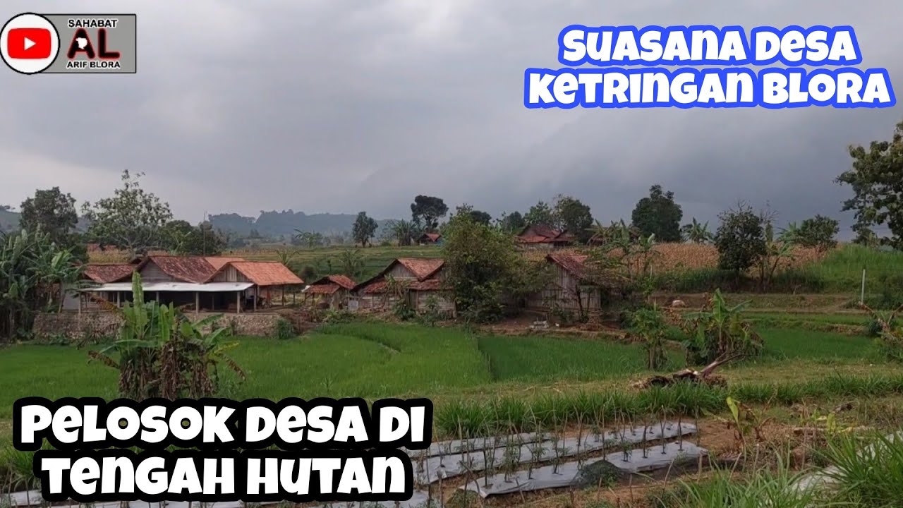 Serasa Pulang Ke Kampung Halaman Keliling Desa Di Pedalaman Hutan Jati Blora | Desa Ketringan