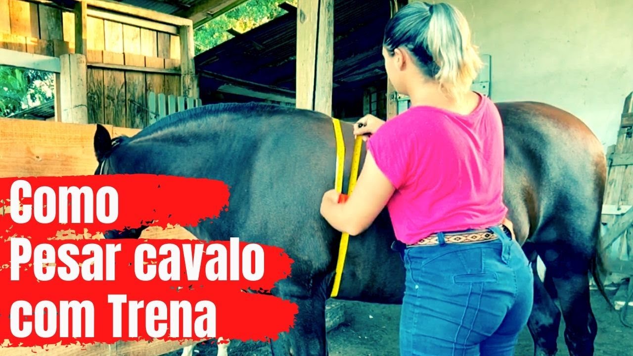 POR QUE VOCE DEVE PESAR SEU CAVALO? Pesagem com trena