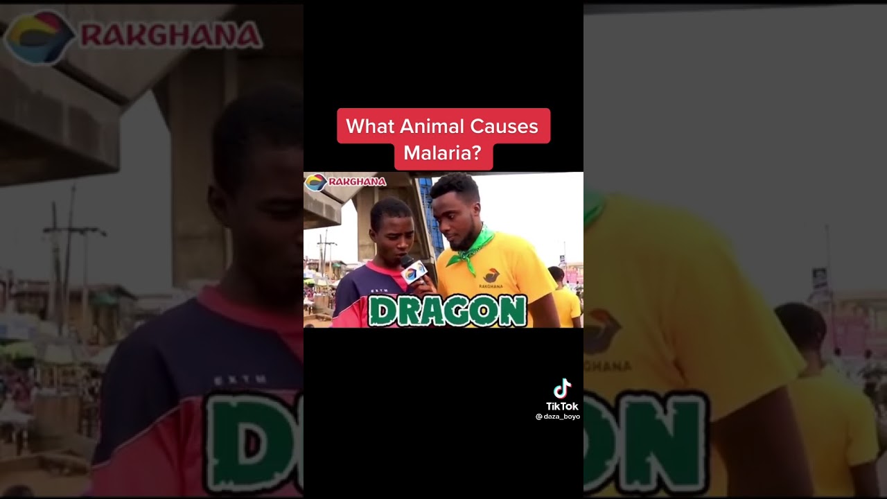IQ: What animal causes malaria? 🦟