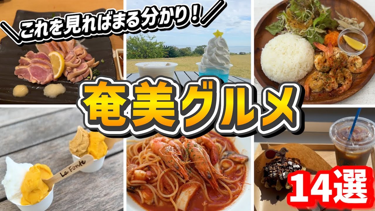 【2024 奄美の名物グルメ】伝統料理や映えカフェなど人気のグルメまとめ14選！