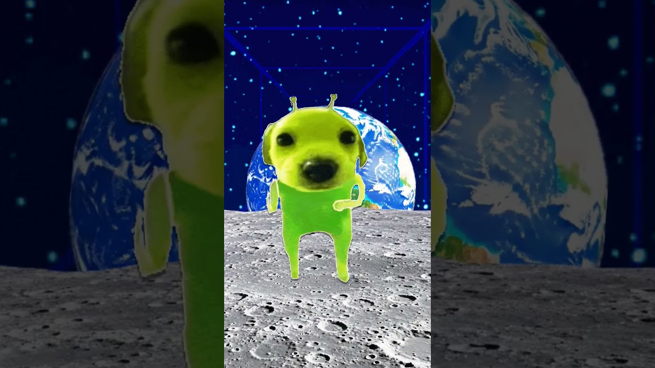 #xd #funny #memes #gogthealiendog #dog #edit #gog #dududa #iamnotthatinnocent