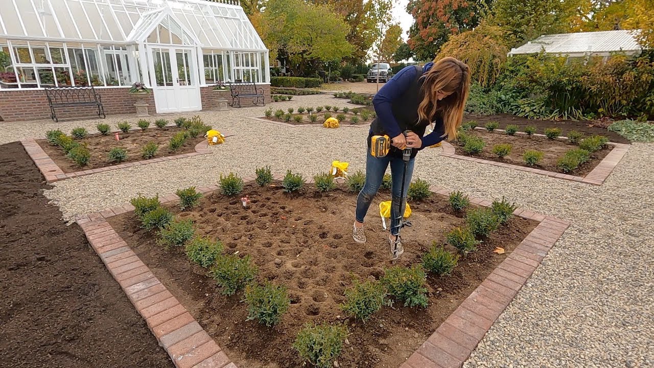 Замена самшита и посадка деревьев и луковиц! 🌳🌷🙌 // Garden Answer