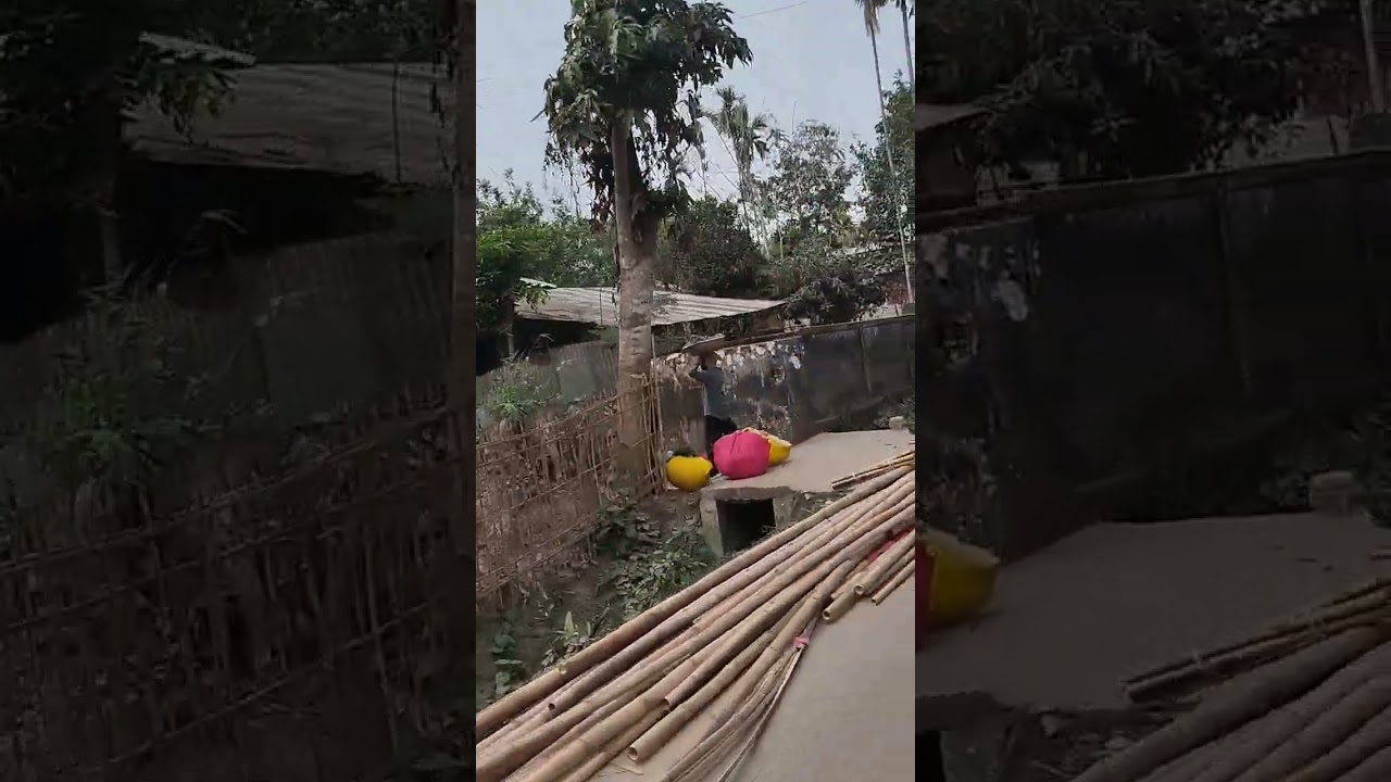 পাহাড়ি মেঠোপথ ধরে চা বাগান। পাহাড়ের ঢালে সরু মাটির পথ, দুই পাশে সারি সারি চা গাছ। #viral #video 