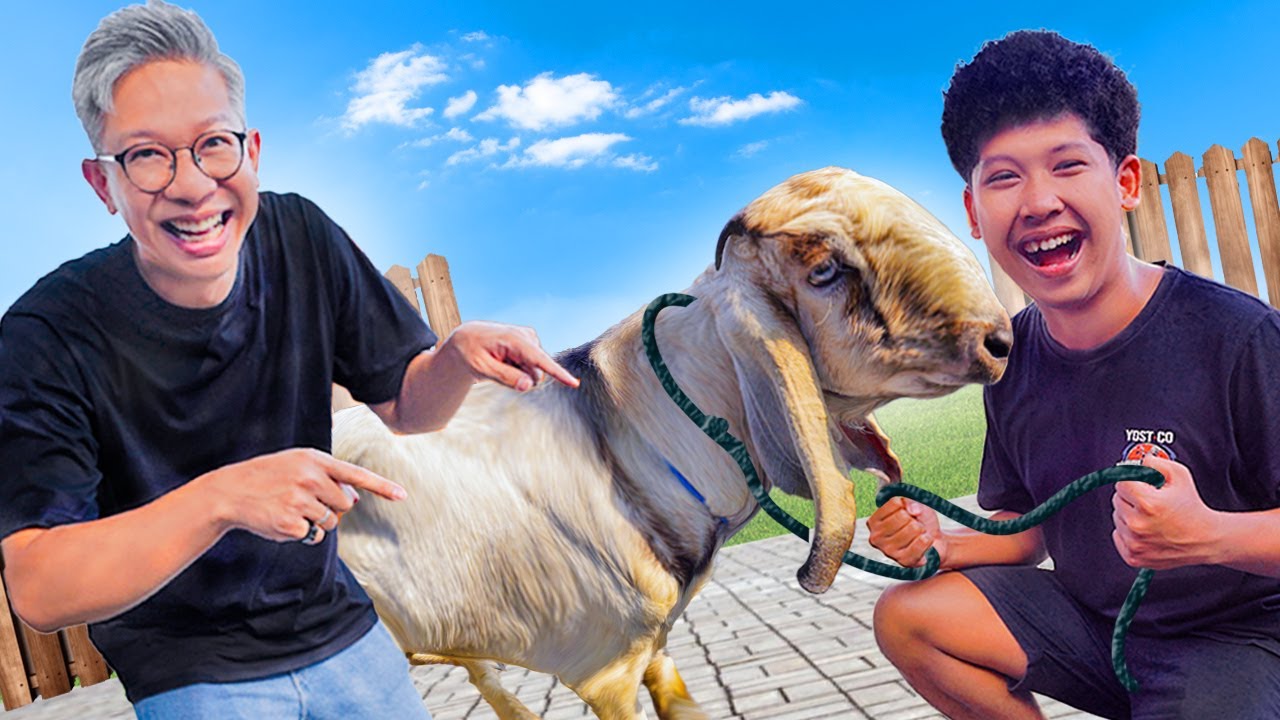 BUY A GOAT FOR LUCK!!