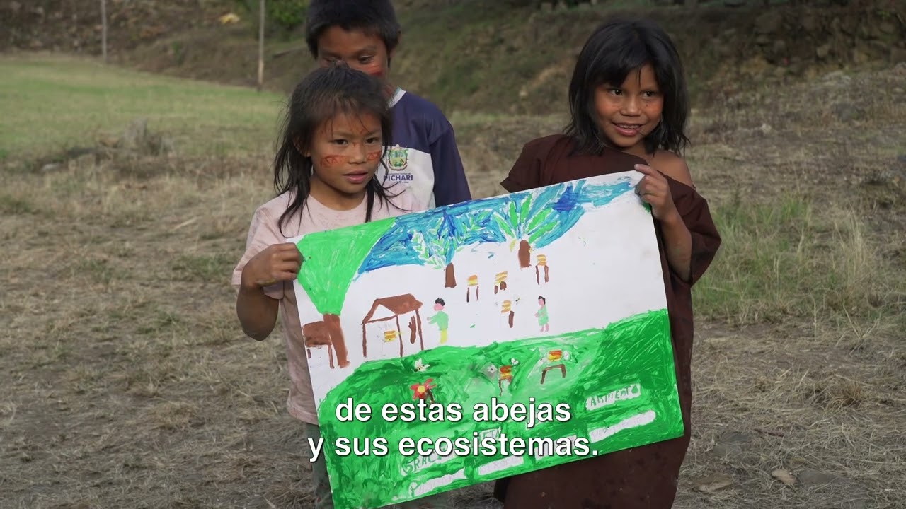 Meliponas en la Amazonía peruana