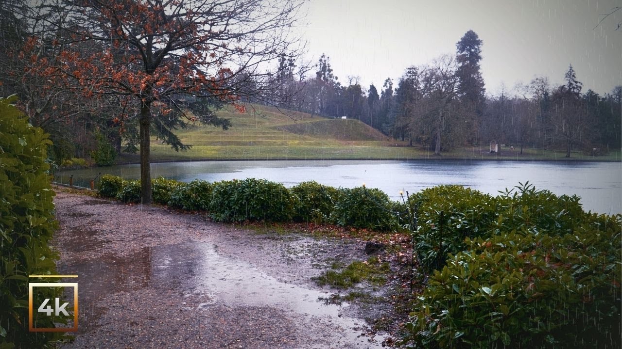 Relaxing Rain Walk in England 🇬🇧 | Cold Winter Rain Ambience | ASMR 4K