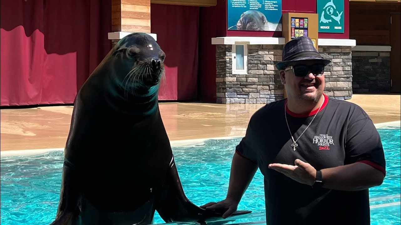 SeaWorld Orlando Sea Lions Up-Close Tour