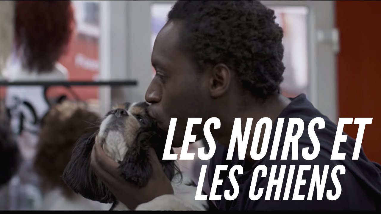 LES NOIRS ET LES CHIENS