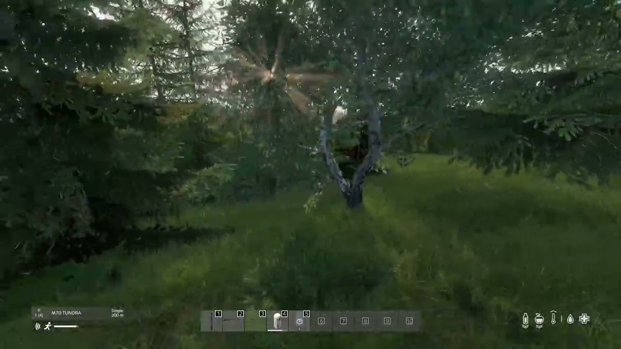 DayZ Livonia Kills with Shane