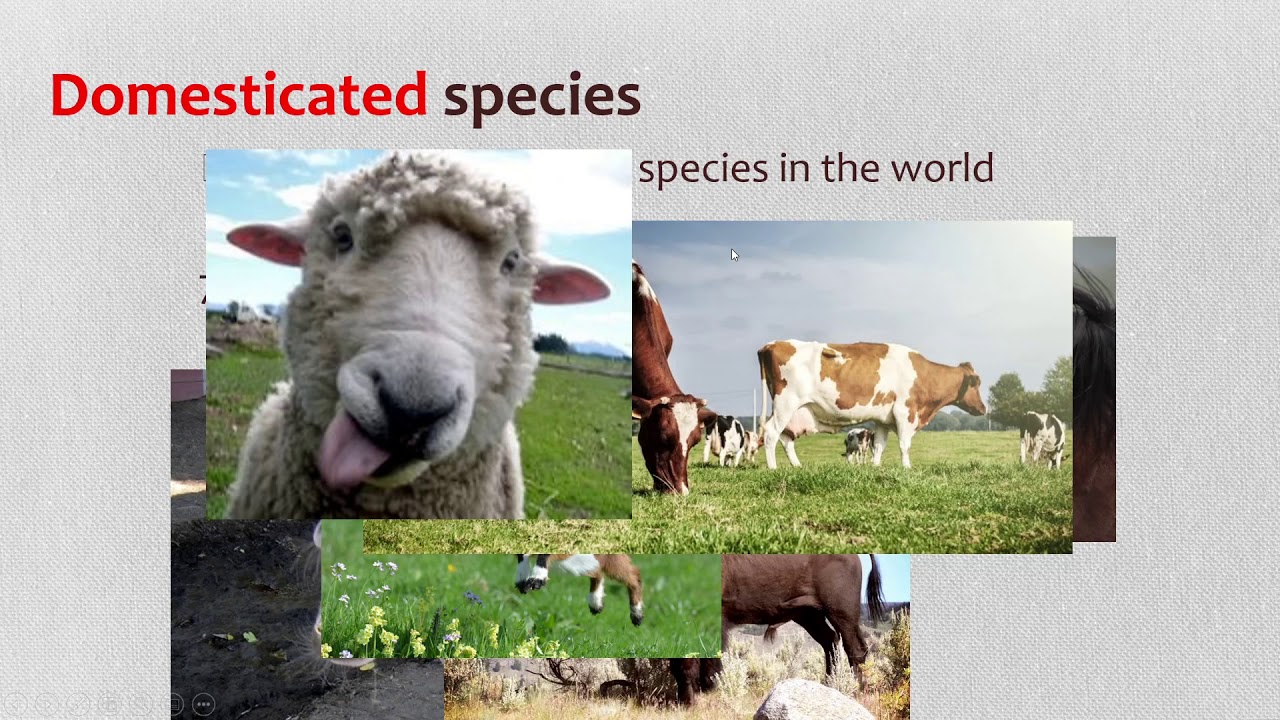APES Unit 9.10 Human Impacts on Biodiversity Part 2 of 2