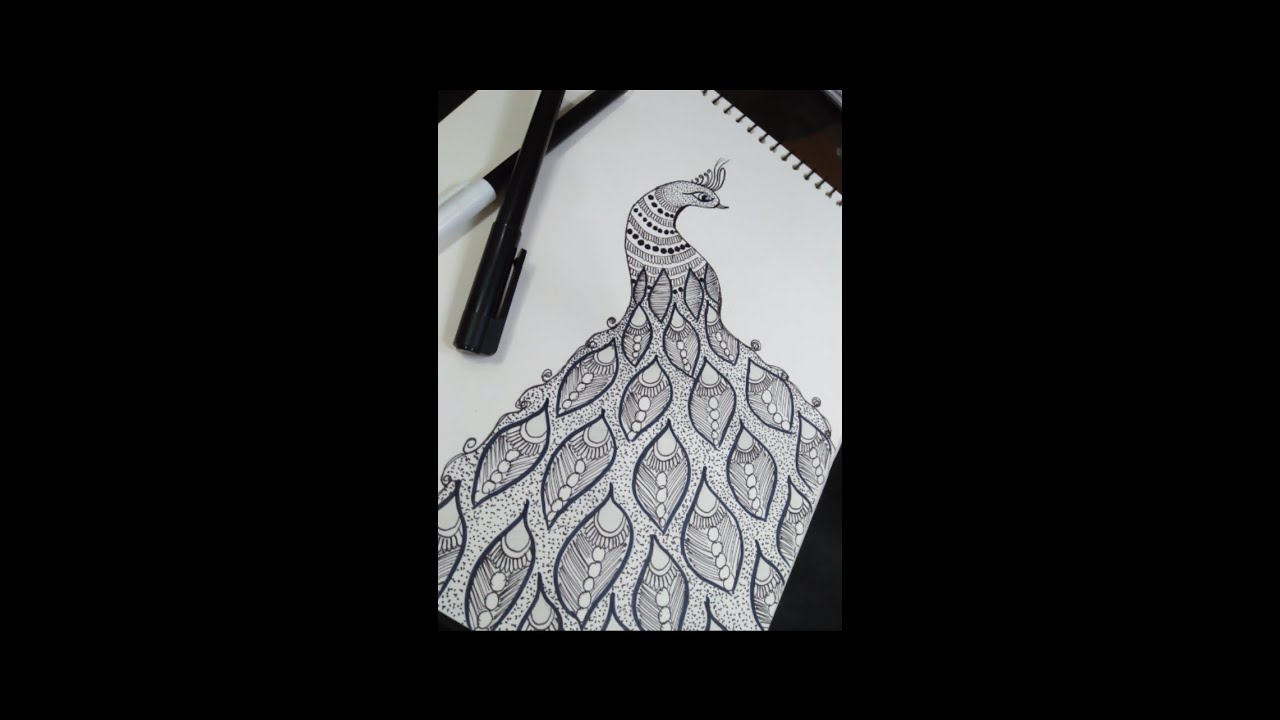 Peacock Art || Black Pointer Art || Amazing Art With Pointer || Jenny's world