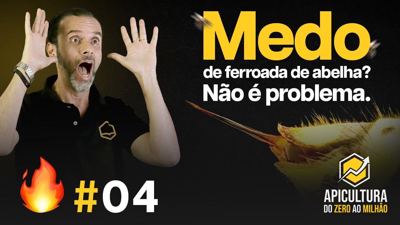 Tenho medo de ferroada: dá pra começar na apicultura com segurança? | Aquecimento #04