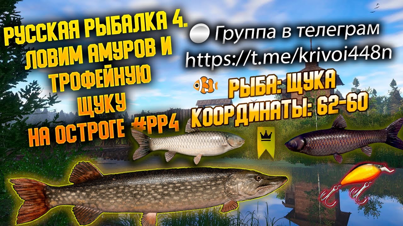 Актуальная  точка🐟 оз. Старый Острог - Там где щуки обитают ▶ | 🐟 Русская рыбалка 4 ▶ рр4 #рр4