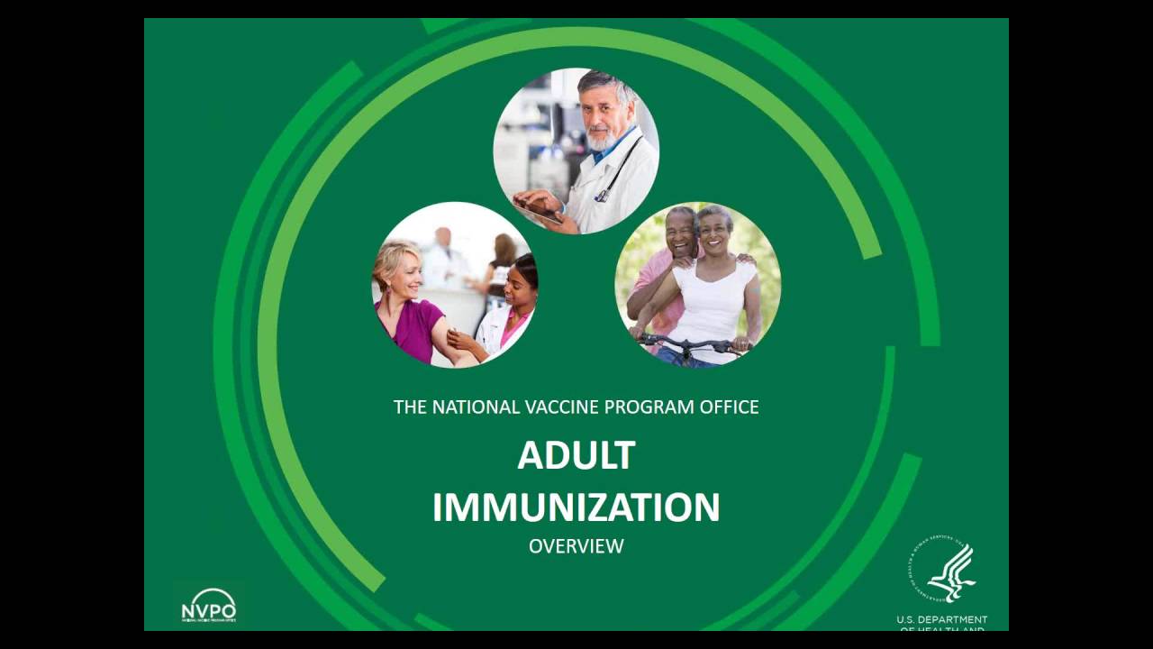 Strategies to Advance the National Adult Immunization Plan Through a Focus on Influ
