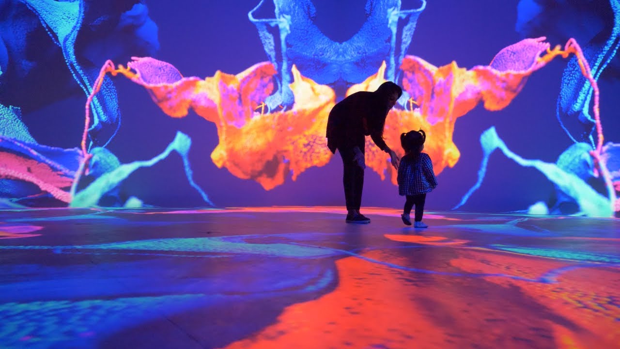 Illuminating the Illuminarium