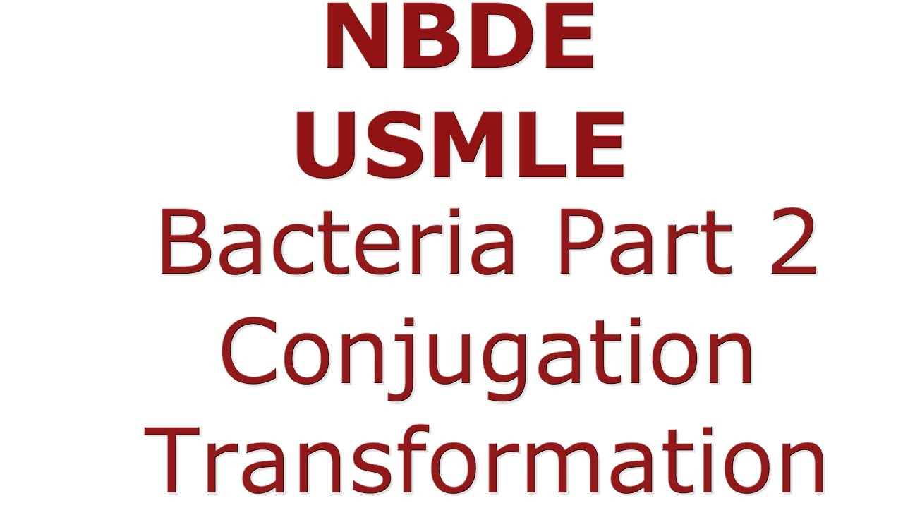 Bacteria - Conjugation, Transformation, Transduction. NBDE/USMLE