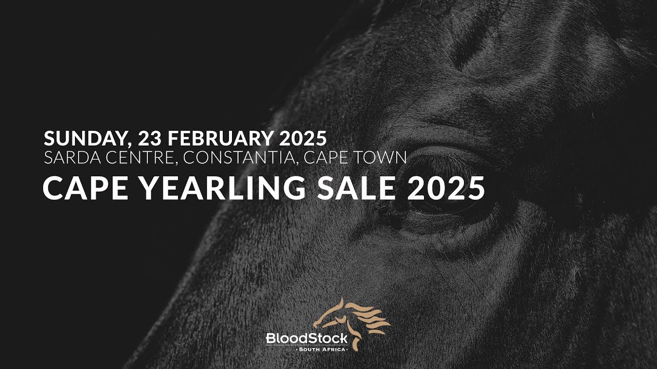 CAPE YEARLING SALE 2025