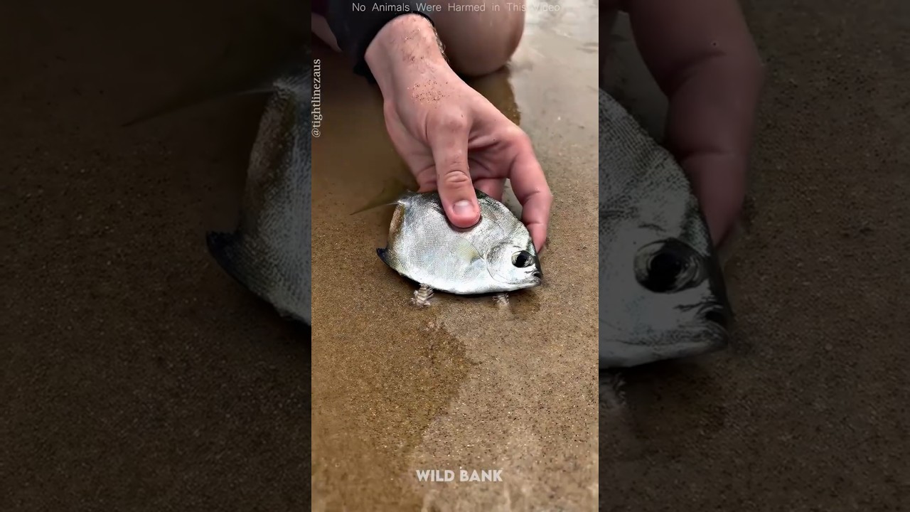 He Pulled a Giant Worm Out of the Sand 😳🐛 #shorts