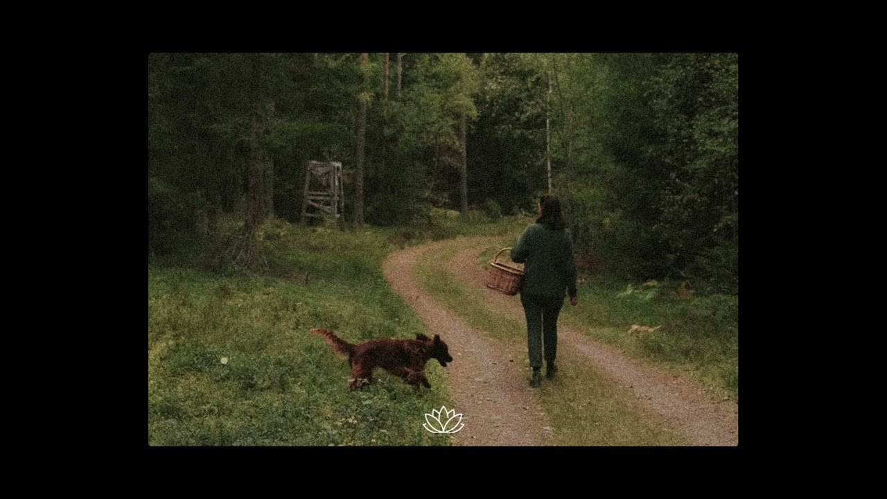 Noah Kahan x Sad Folk Guitar Type Beat - “Trail”