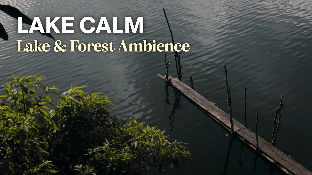 4K Lake Waves & Forest Sounds | Peaceful Nature Ambience for Sleep, Relax & Focus