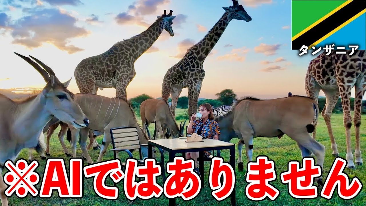 【インスタグラマー悶絶】アフリカで1番映えてるサファリホテルに行ってきた！【サーバルワイルドライフ ・タンザニア】#296