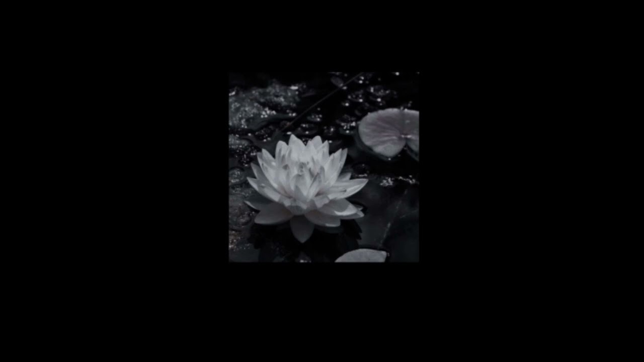 +~°playlist since why not?~°+