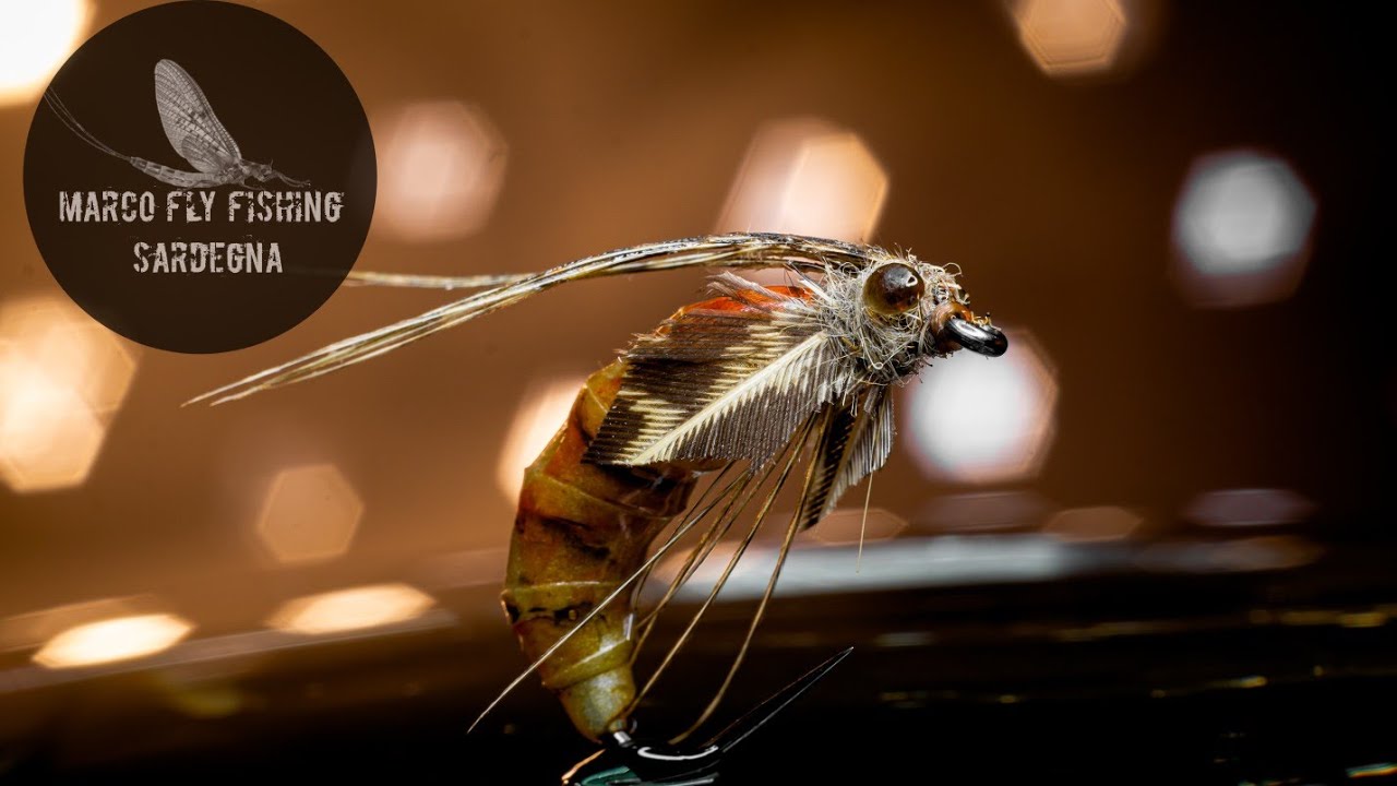 Realistic caddis pupa fly tying
